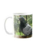 Perfect Pigeon mugs