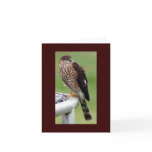 Perfect Profile Greeting Card