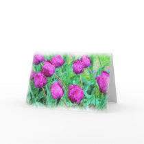 Perfect Purple - Coloured Pencils Greeting card