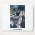 Perfect Reflection - Dog reflection of God mousepads