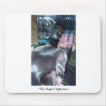 Perfect Reflection - Dog reflection of God mousepads