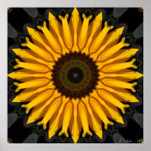 Perfect Sunflower Print