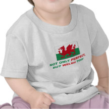 Perfect Welsh Tee Shirt