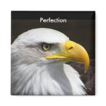 Perfection magnets