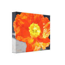 Perfectly Poppy Canvas Print