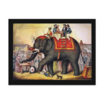 Performing elephant postcards