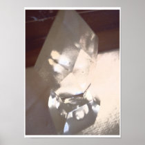 Perfume bottle - print
