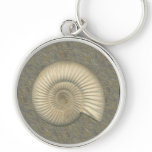 Perisphinctes Ammonite Fossil