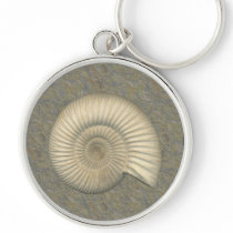 Perisphinctes Ammonite Fossil