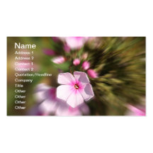 Periwinkle Business Cards