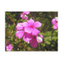 Periwinkle Postcard