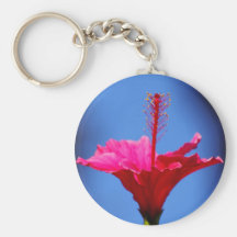 Perky Pink Key Chains