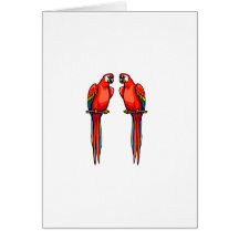 Perri & Perry Parrot Greeting Cards
