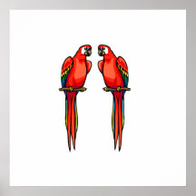 Perri & Perry Parrot Poster