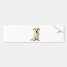 perro pegatina de parachoque