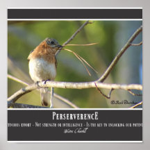 Perserverence Posters