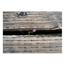 Perseverence Business Card