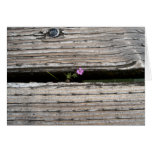 Perseverence Greeting Card