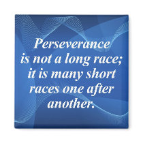 Perseverence Refrigerator Magnet