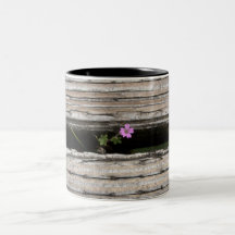 Perseverence Mugs