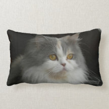 Persian Cat Face American MoJo Pillow