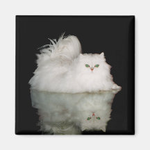 Persian Cat with Jade Green Eyes Fridge Magnets