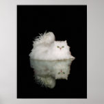 Persian Cat with Jade Green Eyes Print