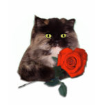 Persian Cat with Red Rose t-shirts