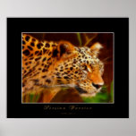PERSIAN LEOPARD Art Poster