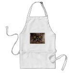 Persian Pussy aprons
