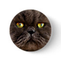 Persian Pussy buttons