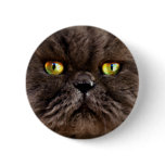 Persian Pussy buttons