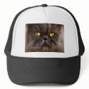 Persian Pussy hats