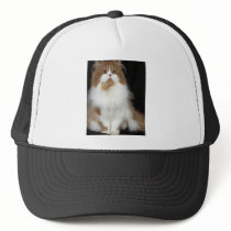 Persian, red and white bi-colour hat