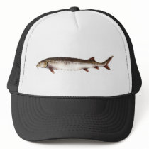 Persian Sturgeon Hat