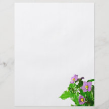 Persian violets flyers