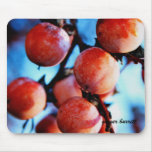 Persimmons mousepads