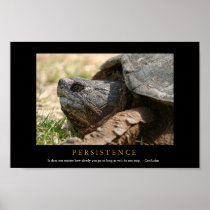 PERSISTENCE Motivational Turtle Poster Print