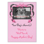 Personalise this Mother's Day Card from the Dog!