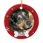 Personalised Dog/Pet Photo Holiday