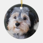 Personalised Dog Photo Frame - DOUBLE-SIDED Ornament