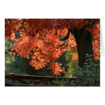 personalised fall note cards