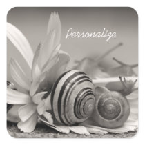 Personalised Garden Snails On Gerbera Daisy