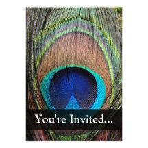 Personalised Peacock Feather Personalised Announcements