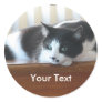 Personalised Timmy