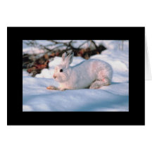 Personalizable Holiday Card White Bunny
