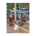 Peru Postcard