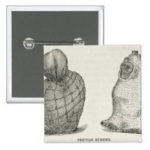 Peruvian Mummies Pinback Buttons