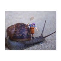 Pest Control Post Card