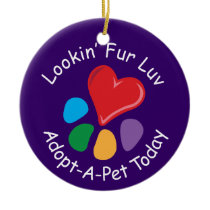 Pet Adoption_Heart-Paw_Lookin' Fur Luv_pet photo
